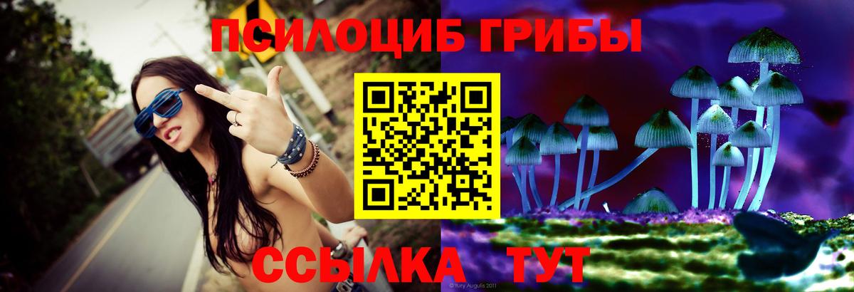 Псилоцибиновые грибы ЛСД  продажа наркотиков  Галлюциногенные грибы мухоморы  Вязьма  Вход с VPN 